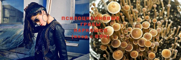 меф Горно-Алтайск